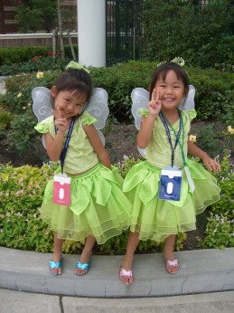 グリーンフェアリー